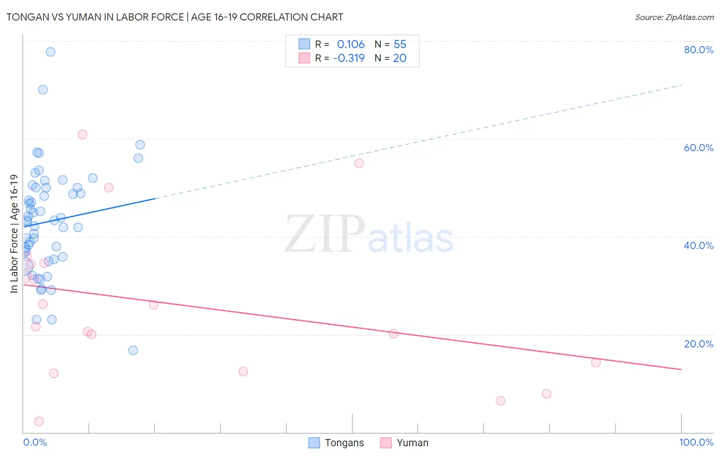 Tongan vs Yuman In Labor Force | Age 16-19