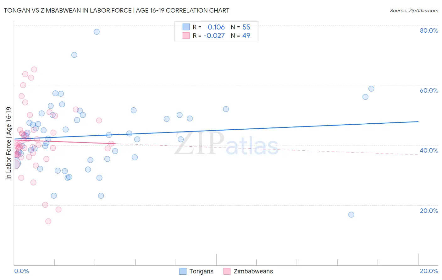 Tongan vs Zimbabwean In Labor Force | Age 16-19