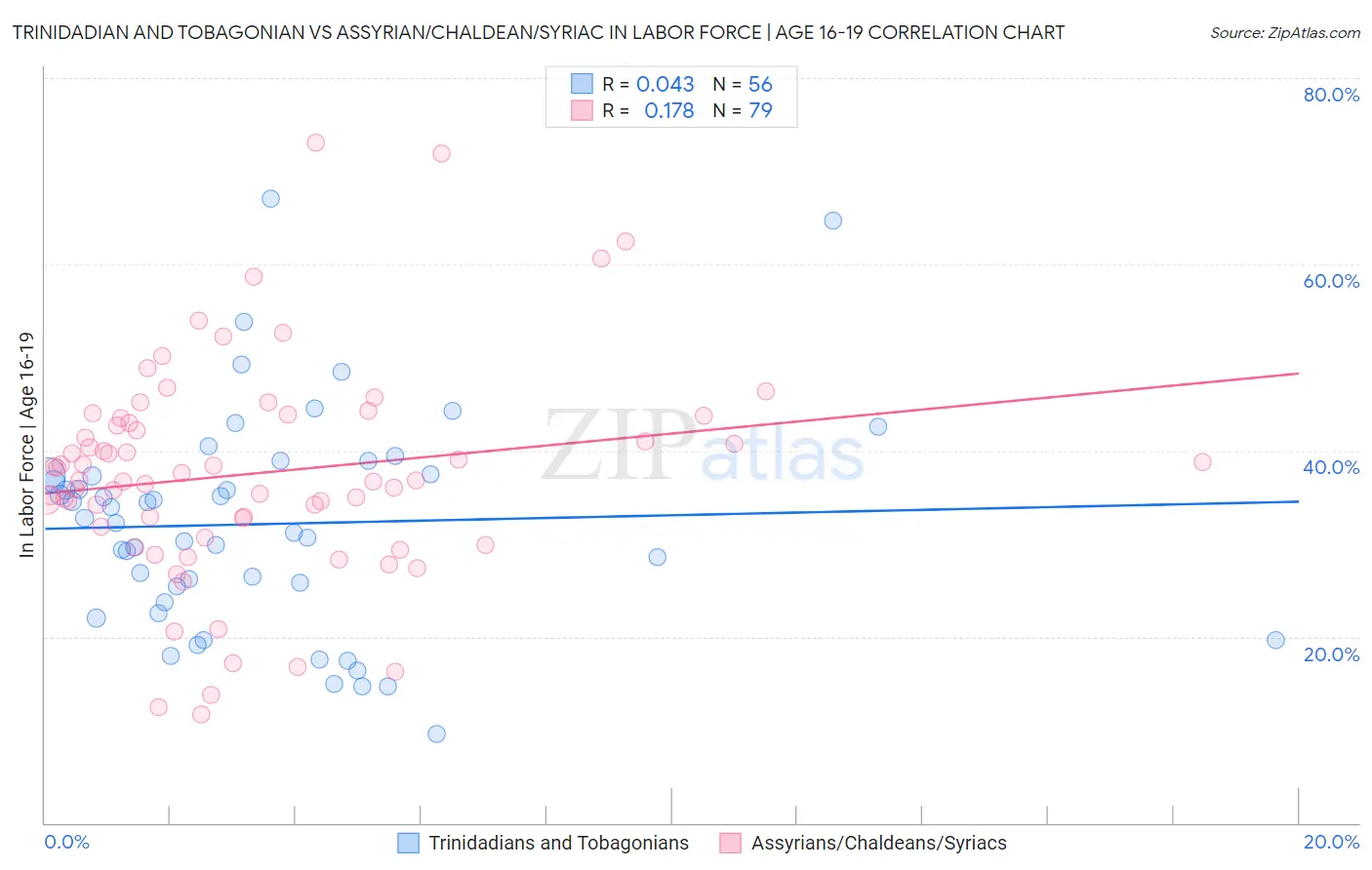 Trinidadian and Tobagonian vs Assyrian/Chaldean/Syriac In Labor Force | Age 16-19