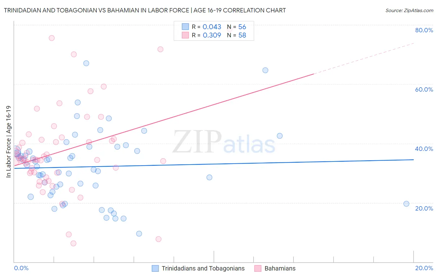 Trinidadian and Tobagonian vs Bahamian In Labor Force | Age 16-19
