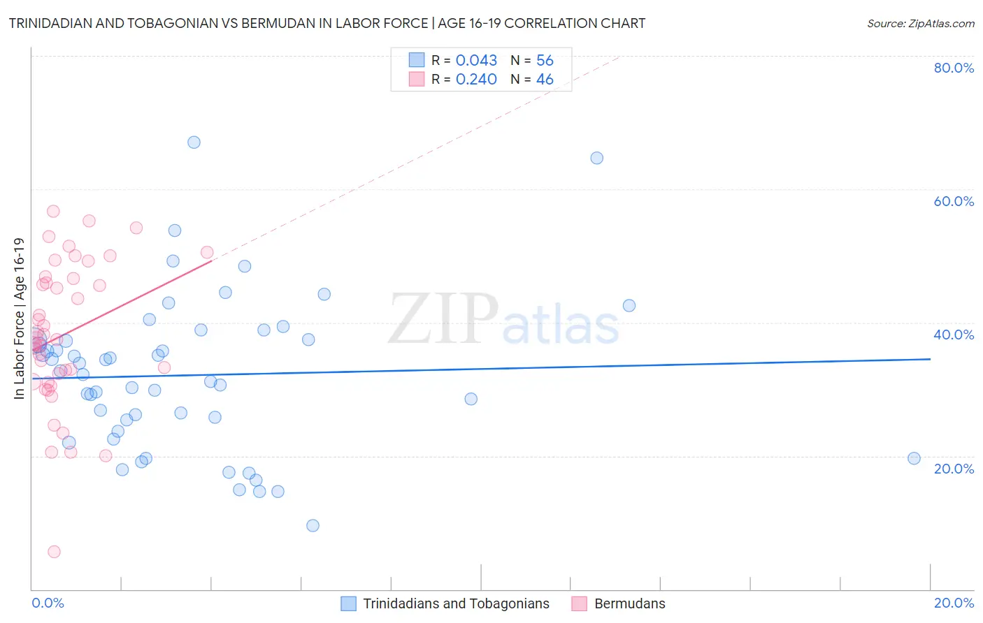 Trinidadian and Tobagonian vs Bermudan In Labor Force | Age 16-19