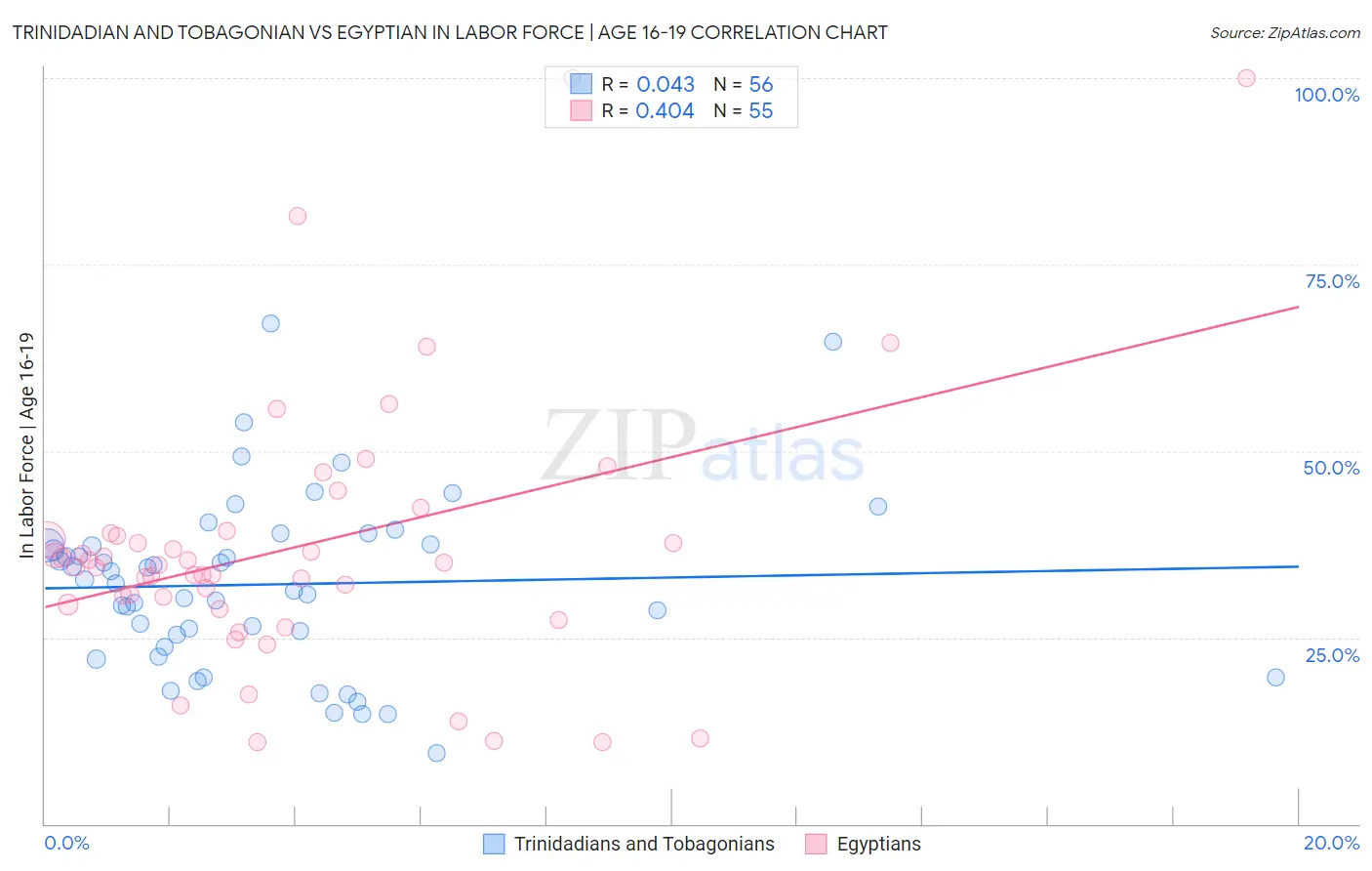 Trinidadian and Tobagonian vs Egyptian In Labor Force | Age 16-19