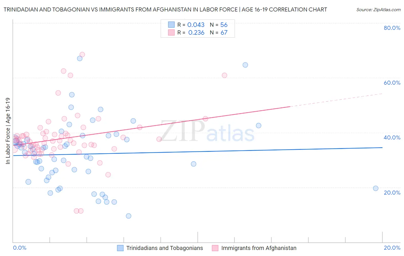 Trinidadian and Tobagonian vs Immigrants from Afghanistan In Labor Force | Age 16-19