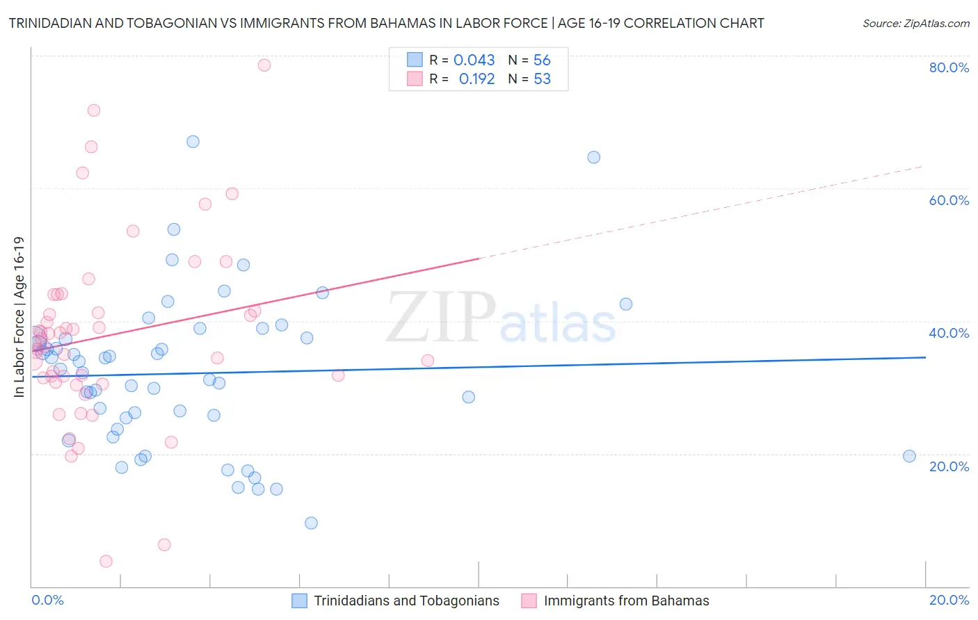 Trinidadian and Tobagonian vs Immigrants from Bahamas In Labor Force | Age 16-19