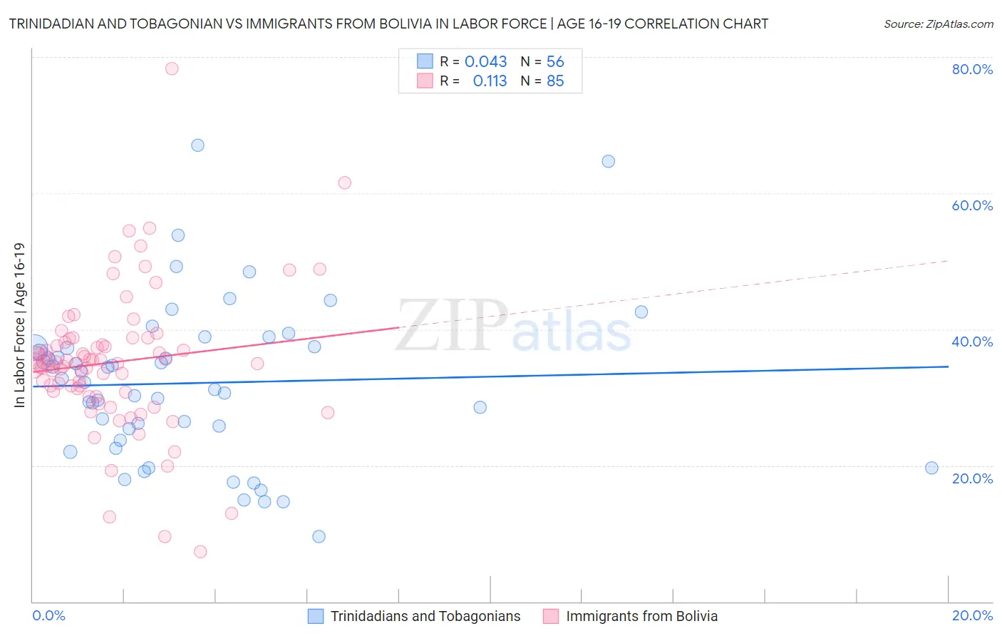 Trinidadian and Tobagonian vs Immigrants from Bolivia In Labor Force | Age 16-19