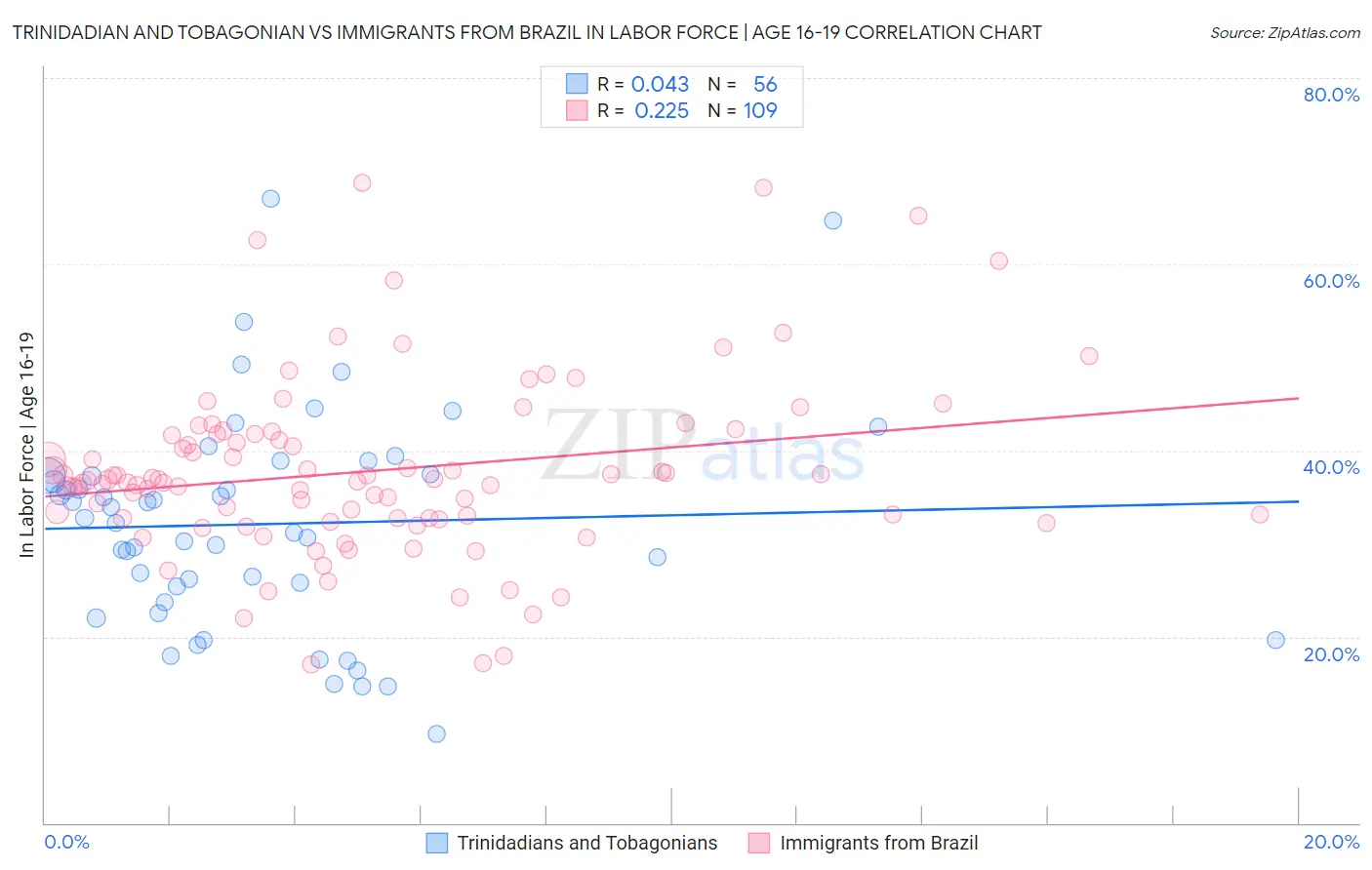 Trinidadian and Tobagonian vs Immigrants from Brazil In Labor Force | Age 16-19