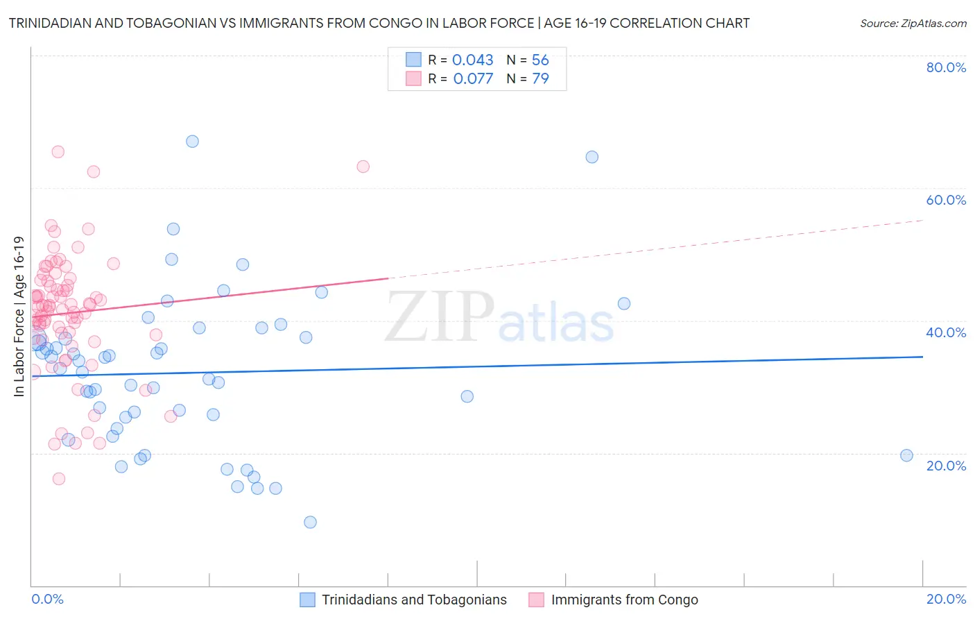 Trinidadian and Tobagonian vs Immigrants from Congo In Labor Force | Age 16-19