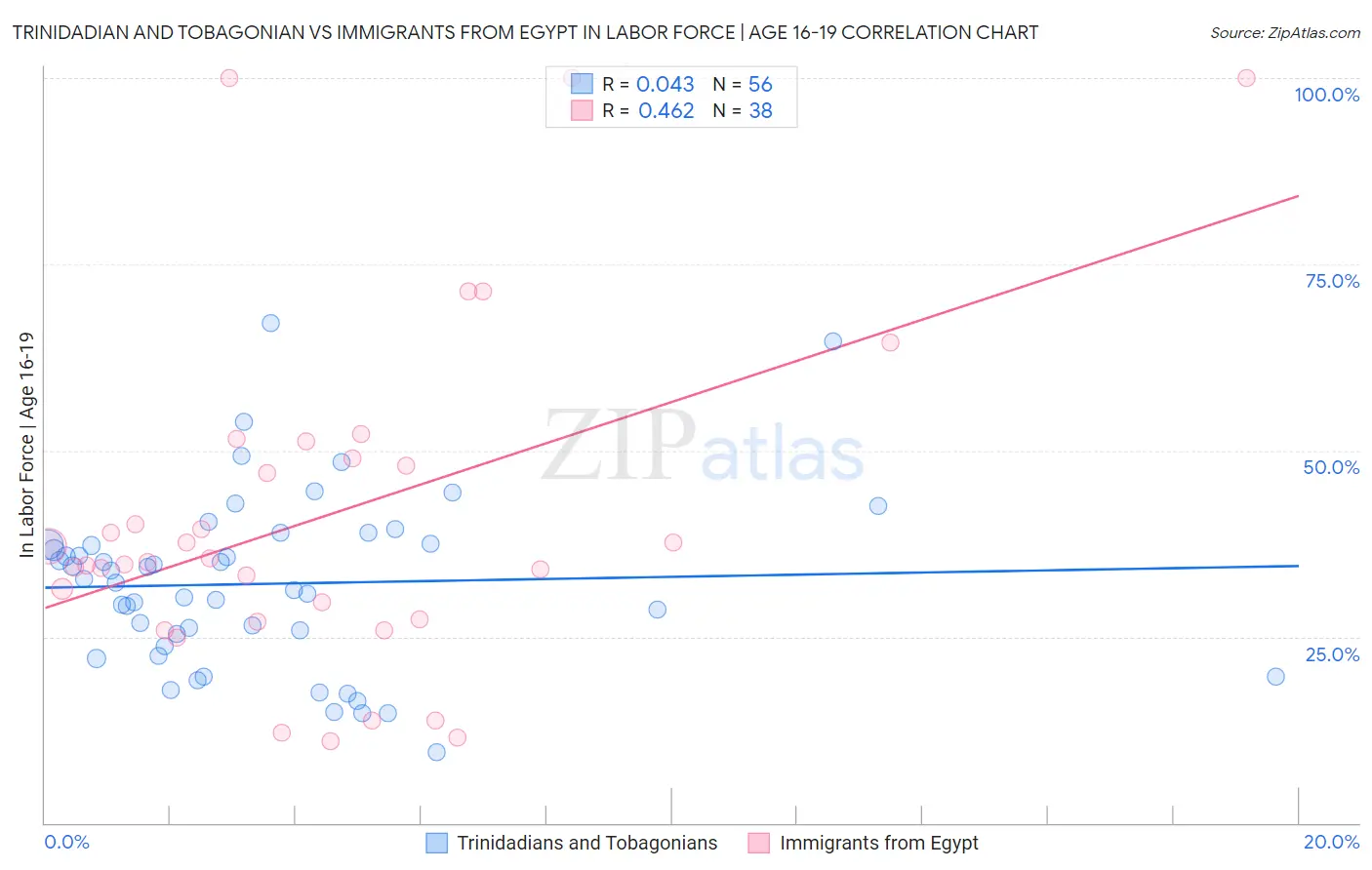 Trinidadian and Tobagonian vs Immigrants from Egypt In Labor Force | Age 16-19