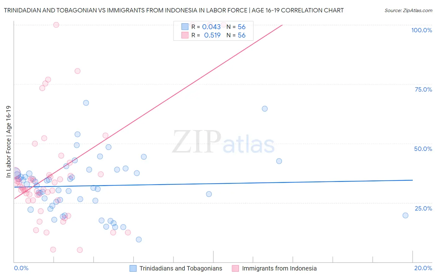 Trinidadian and Tobagonian vs Immigrants from Indonesia In Labor Force | Age 16-19