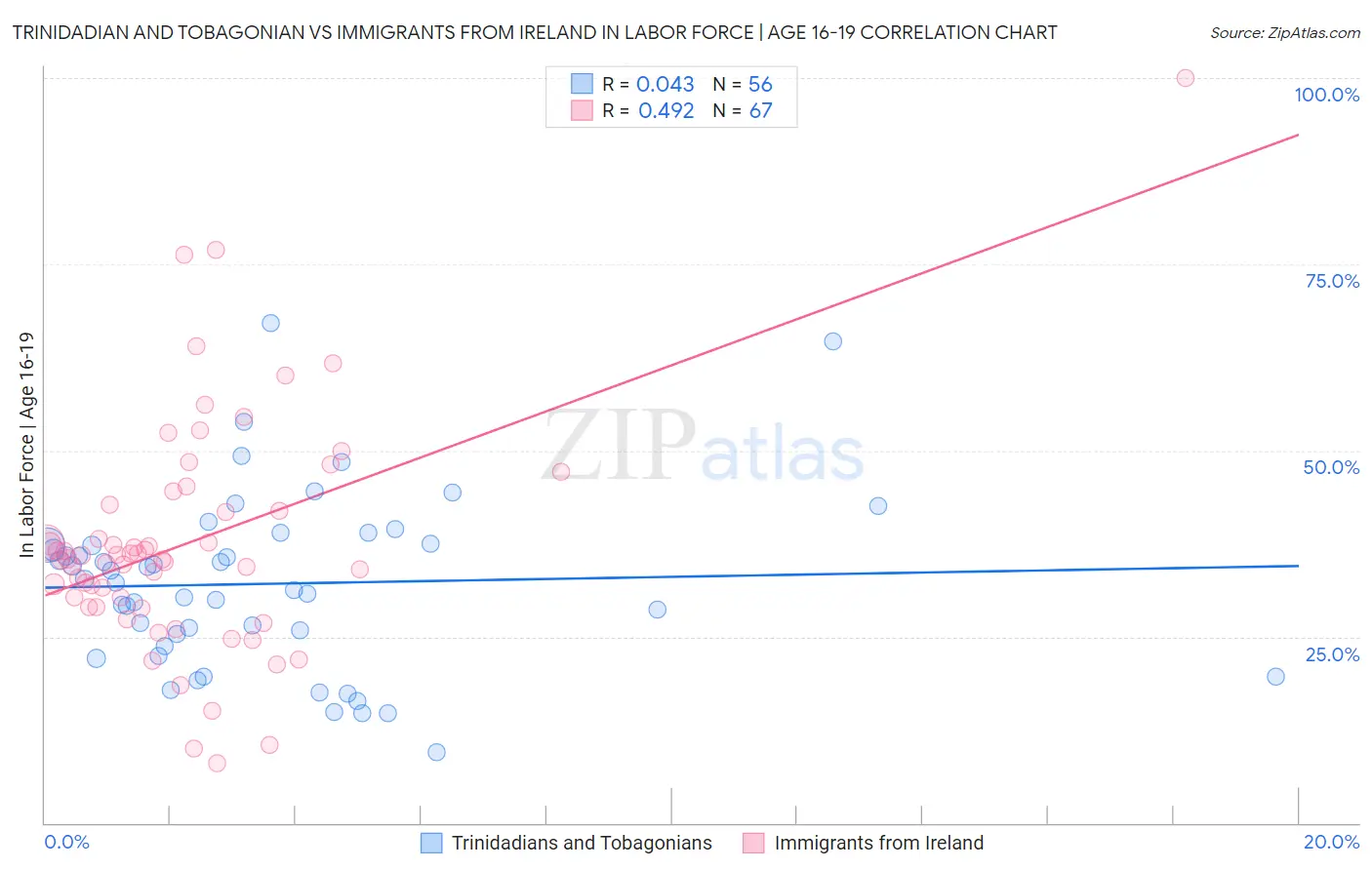 Trinidadian and Tobagonian vs Immigrants from Ireland In Labor Force | Age 16-19