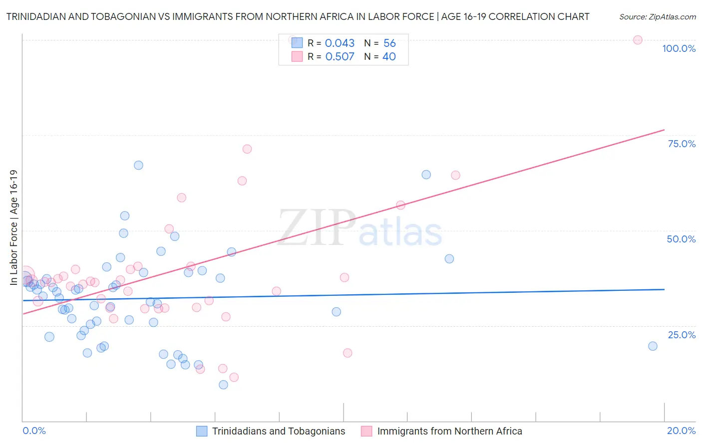 Trinidadian and Tobagonian vs Immigrants from Northern Africa In Labor Force | Age 16-19