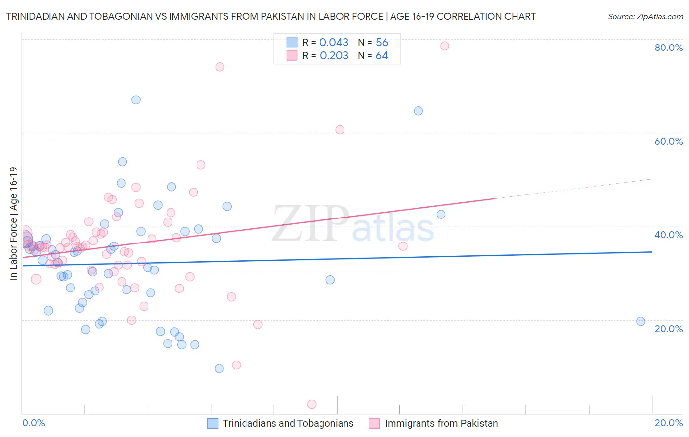 Trinidadian and Tobagonian vs Immigrants from Pakistan In Labor Force | Age 16-19