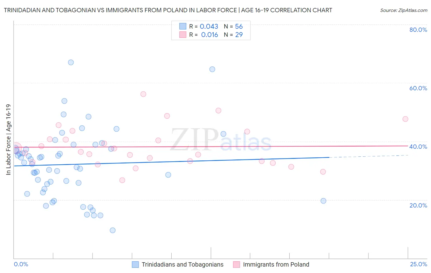 Trinidadian and Tobagonian vs Immigrants from Poland In Labor Force | Age 16-19