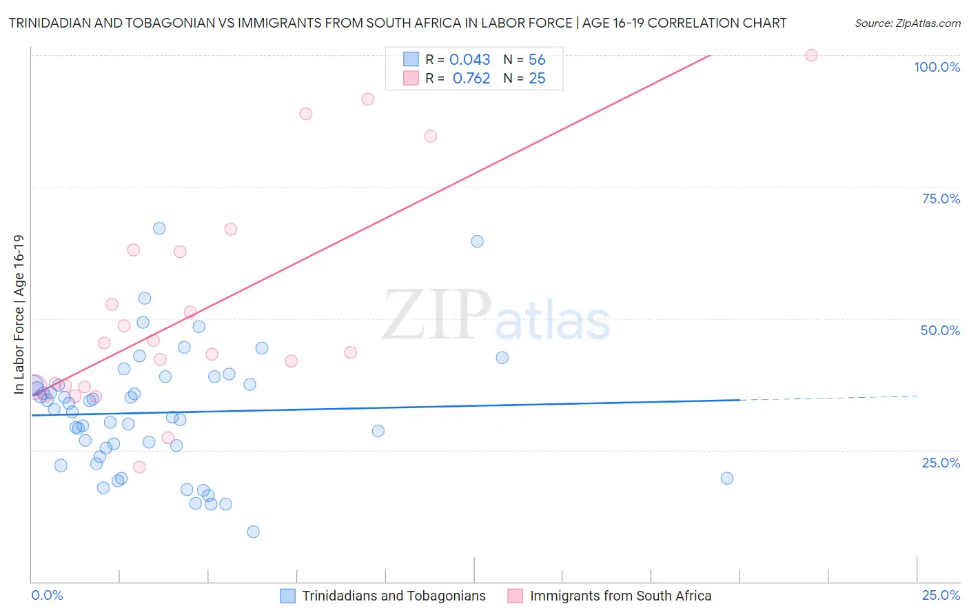 Trinidadian and Tobagonian vs Immigrants from South Africa In Labor Force | Age 16-19