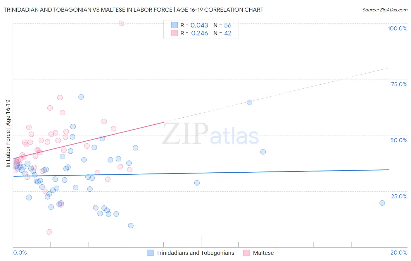 Trinidadian and Tobagonian vs Maltese In Labor Force | Age 16-19