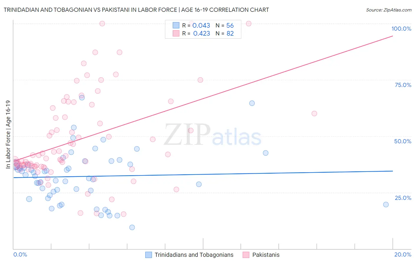 Trinidadian and Tobagonian vs Pakistani In Labor Force | Age 16-19