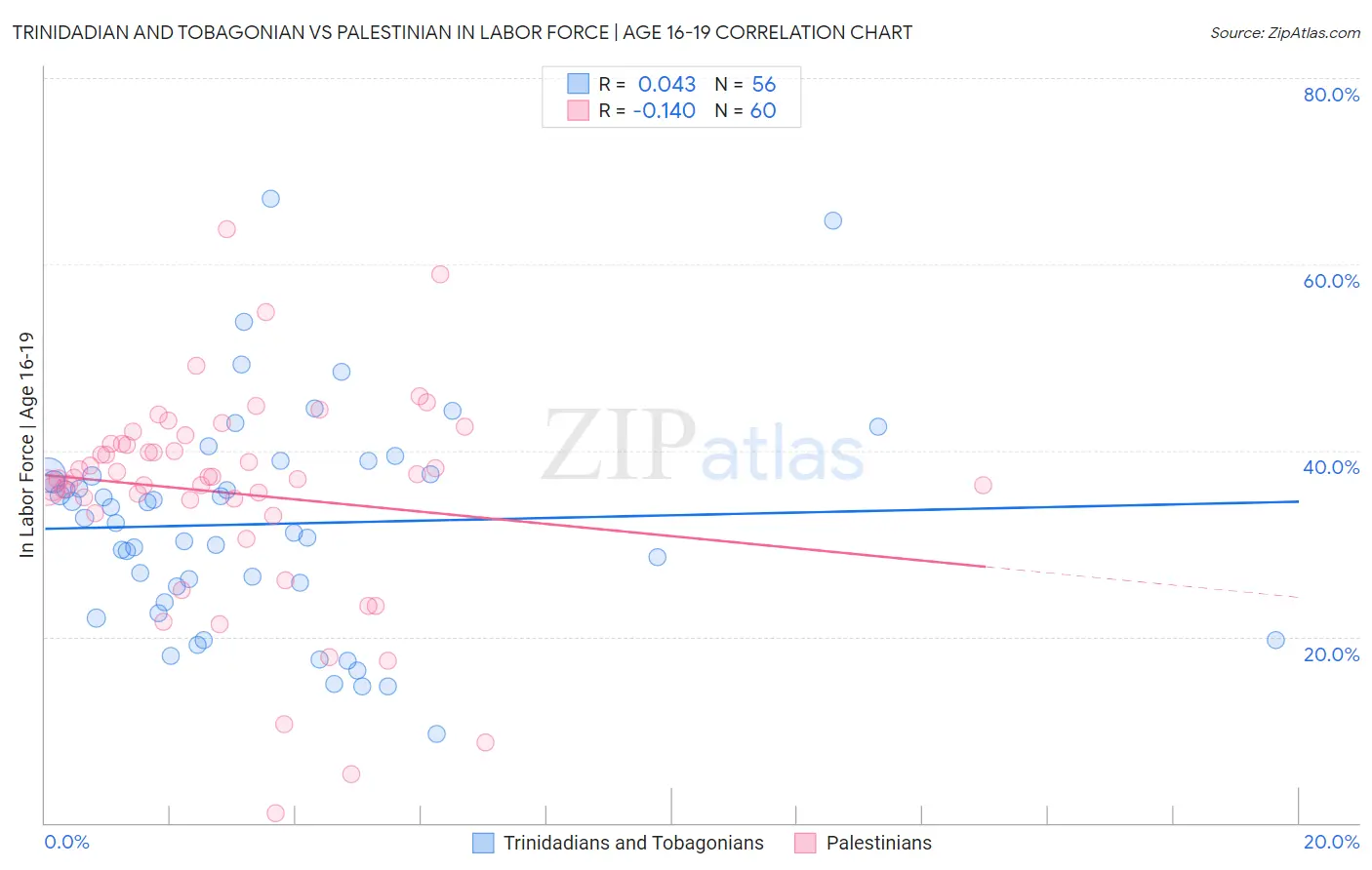 Trinidadian and Tobagonian vs Palestinian In Labor Force | Age 16-19