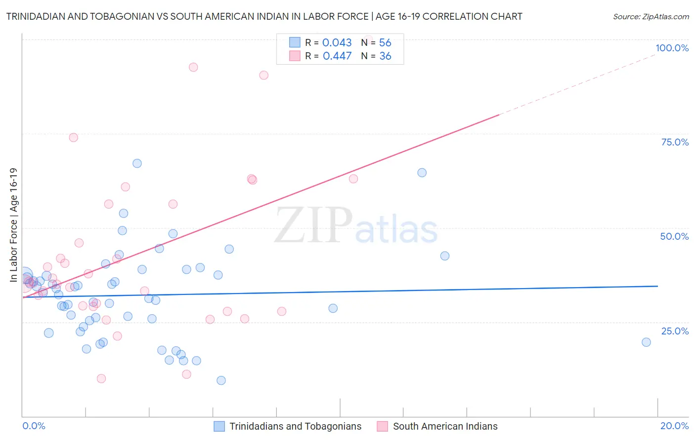 Trinidadian and Tobagonian vs South American Indian In Labor Force | Age 16-19