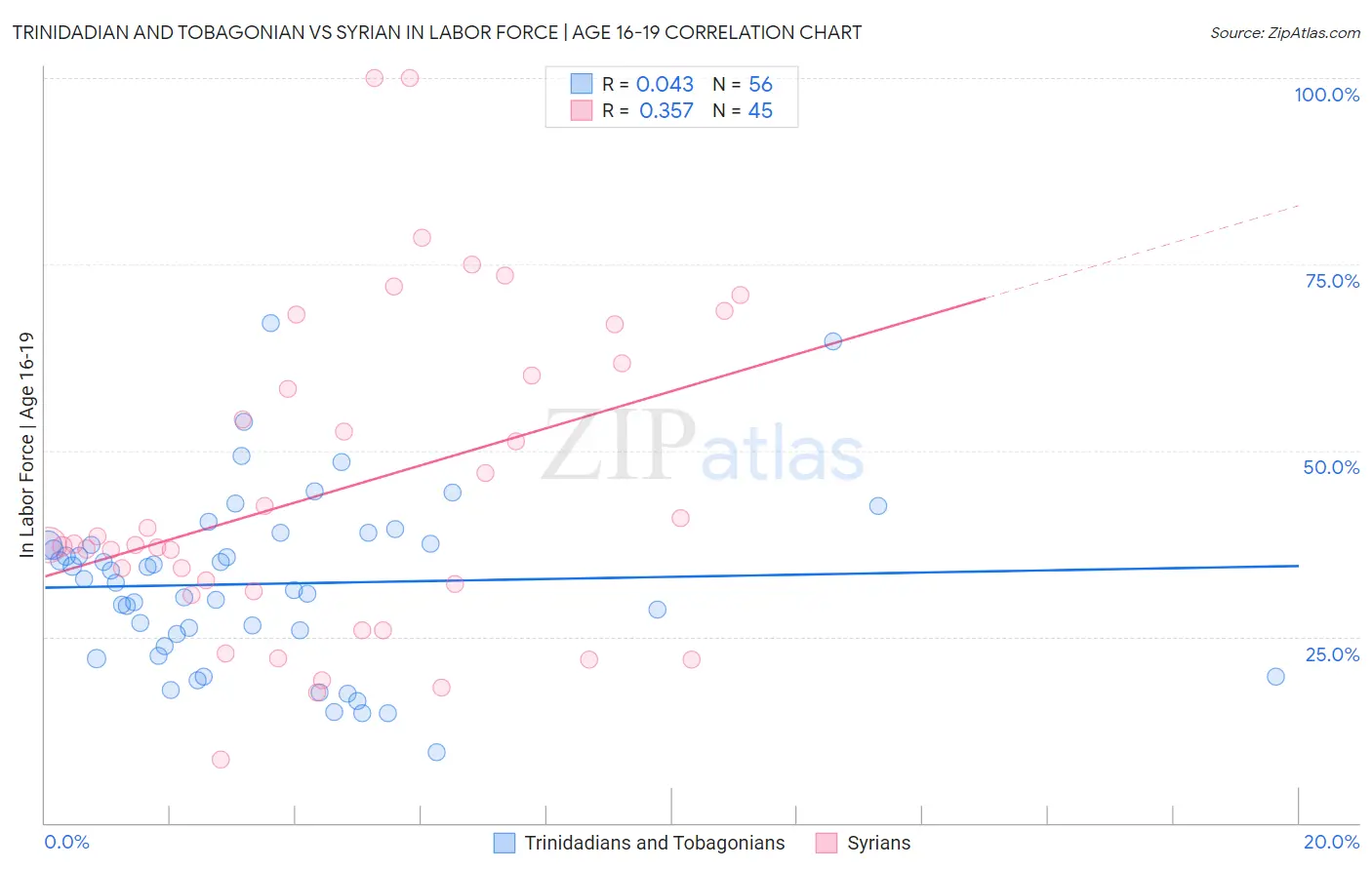 Trinidadian and Tobagonian vs Syrian In Labor Force | Age 16-19
