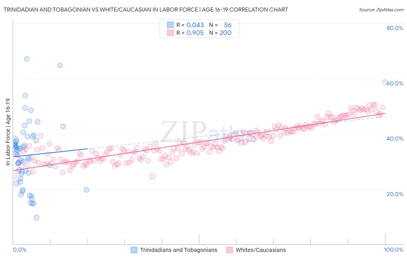 Trinidadian and Tobagonian vs White/Caucasian In Labor Force | Age 16-19
