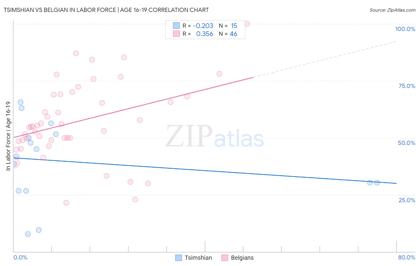Tsimshian vs Belgian In Labor Force | Age 16-19