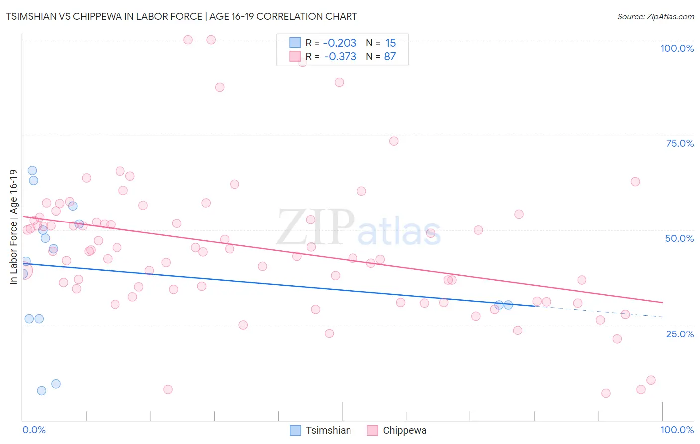 Tsimshian vs Chippewa In Labor Force | Age 16-19