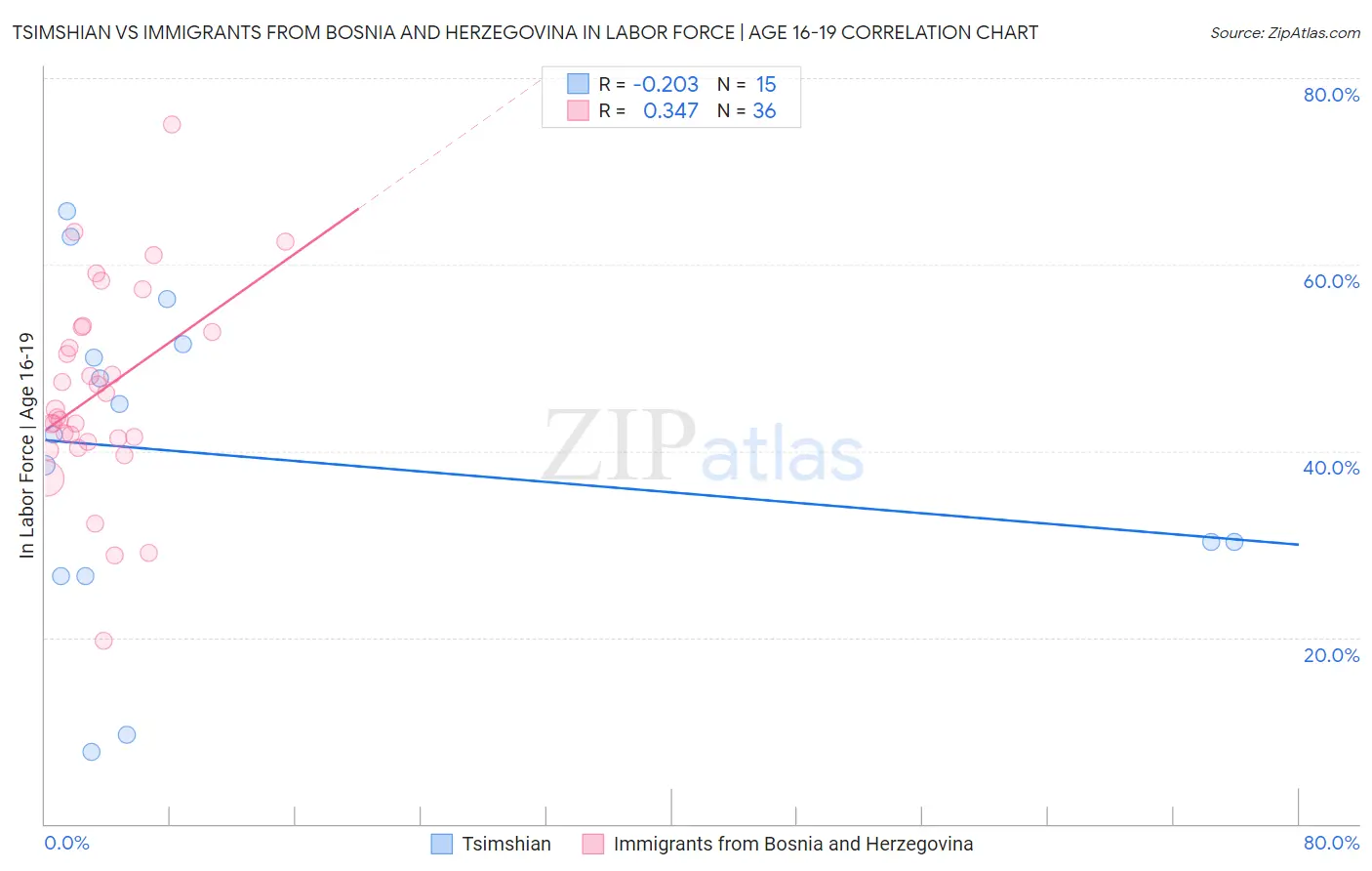 Tsimshian vs Immigrants from Bosnia and Herzegovina In Labor Force | Age 16-19