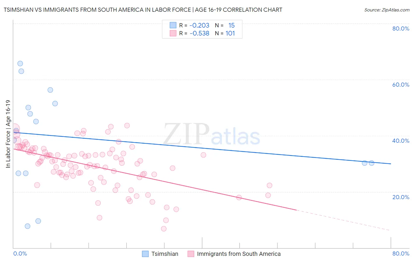 Tsimshian vs Immigrants from South America In Labor Force | Age 16-19