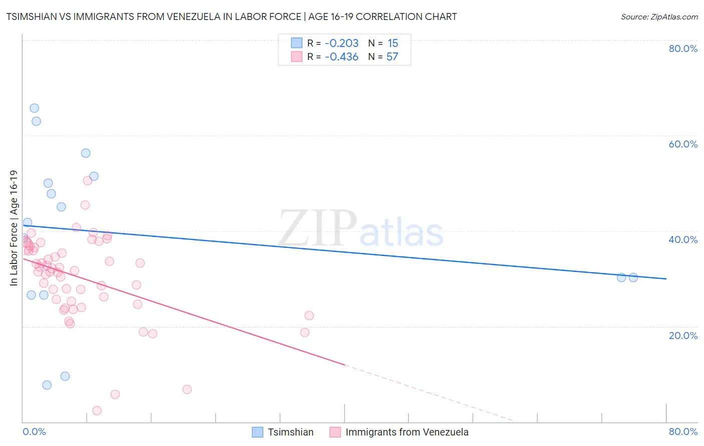 Tsimshian vs Immigrants from Venezuela In Labor Force | Age 16-19