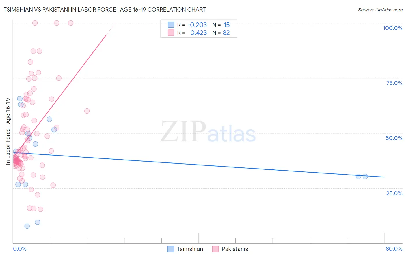 Tsimshian vs Pakistani In Labor Force | Age 16-19