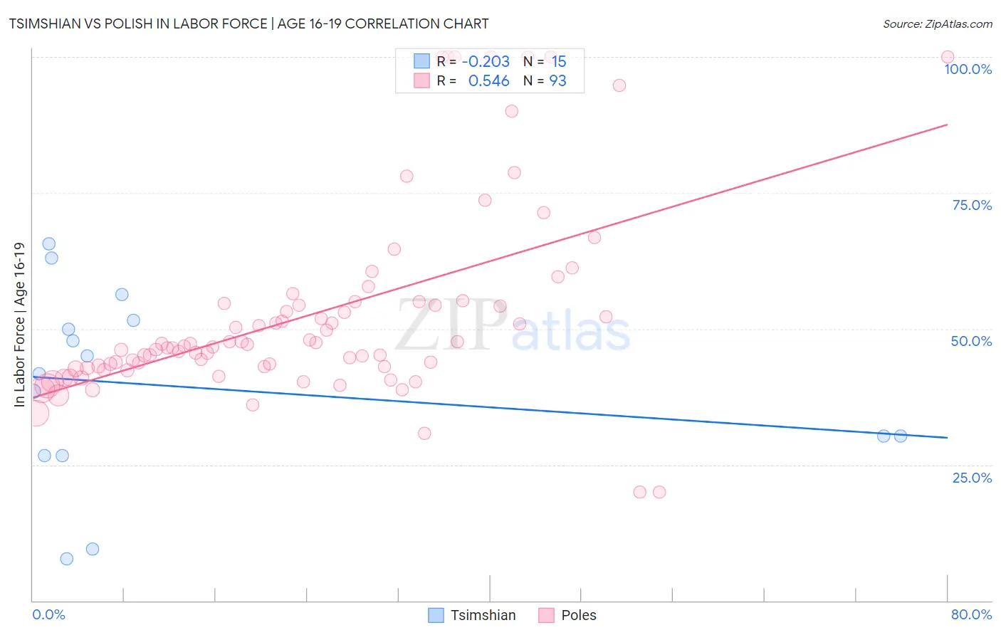 Tsimshian vs Polish In Labor Force | Age 16-19