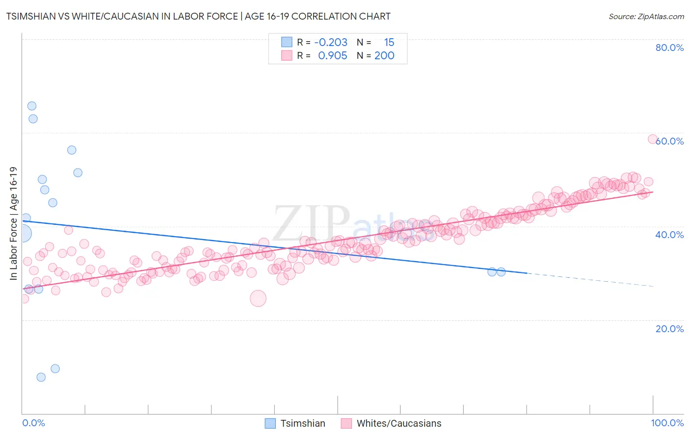 Tsimshian vs White/Caucasian In Labor Force | Age 16-19