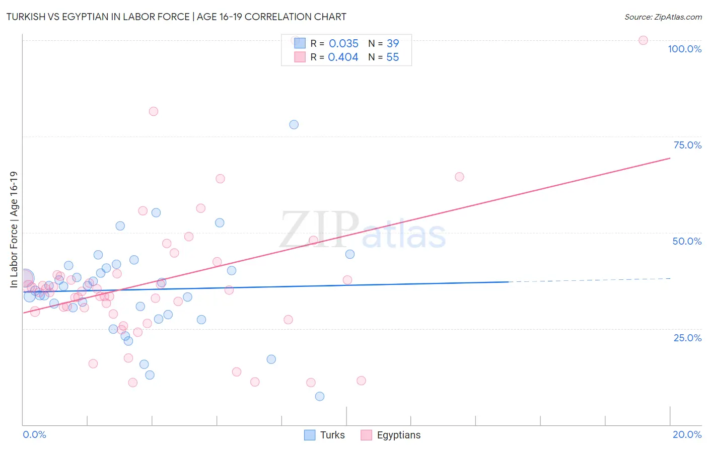 Turkish vs Egyptian In Labor Force | Age 16-19
