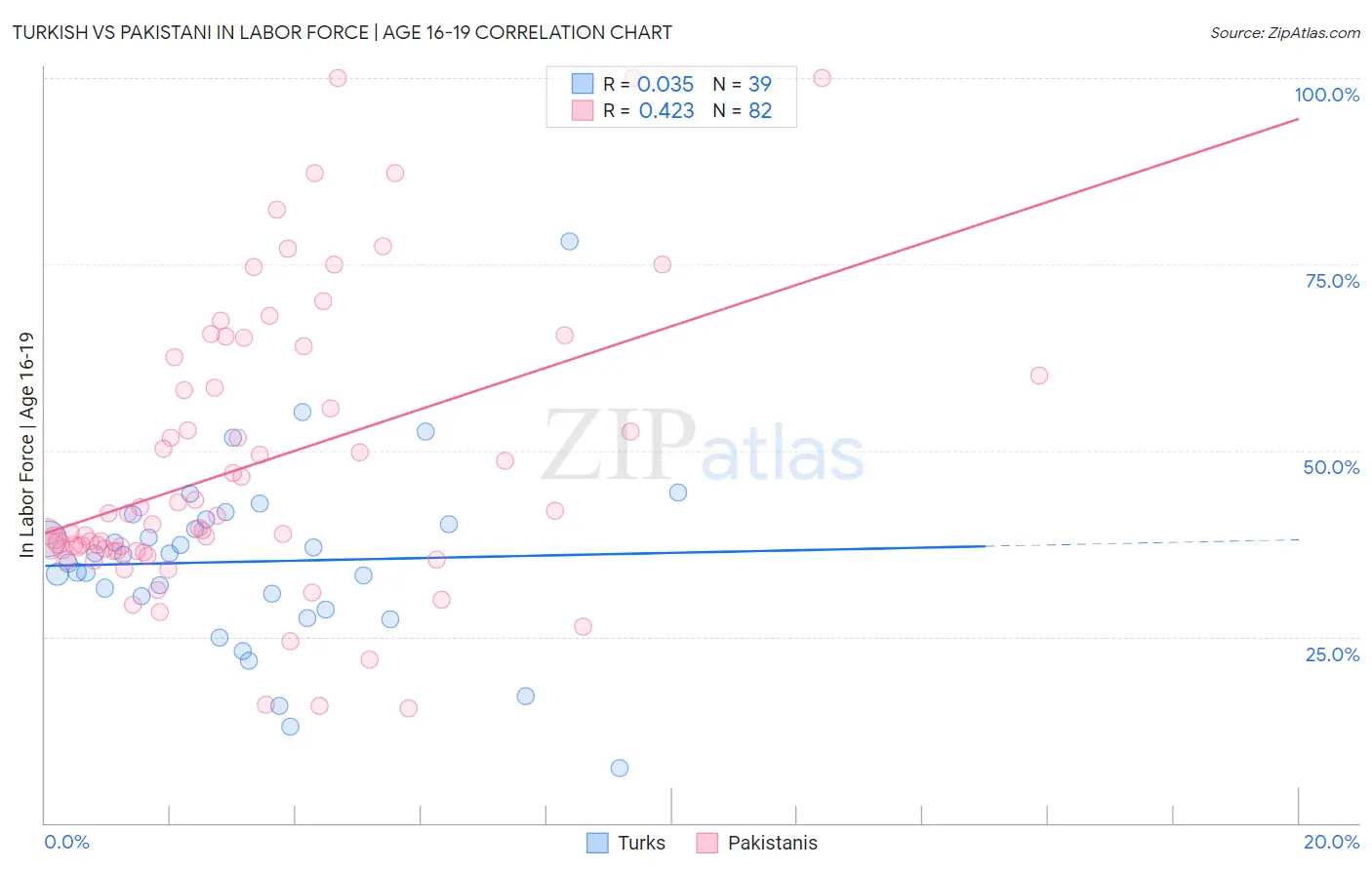 Turkish vs Pakistani In Labor Force | Age 16-19