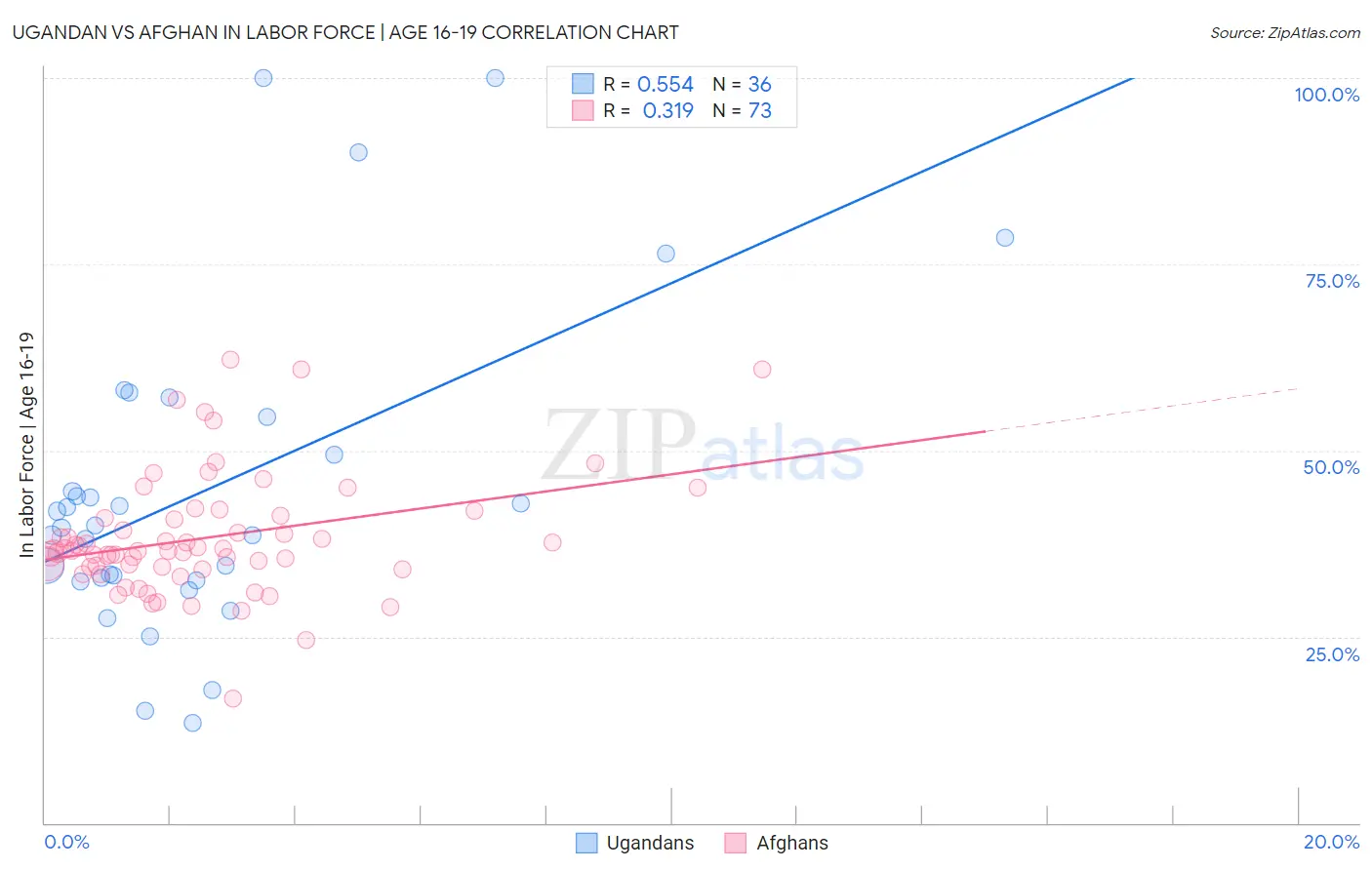 Ugandan vs Afghan In Labor Force | Age 16-19