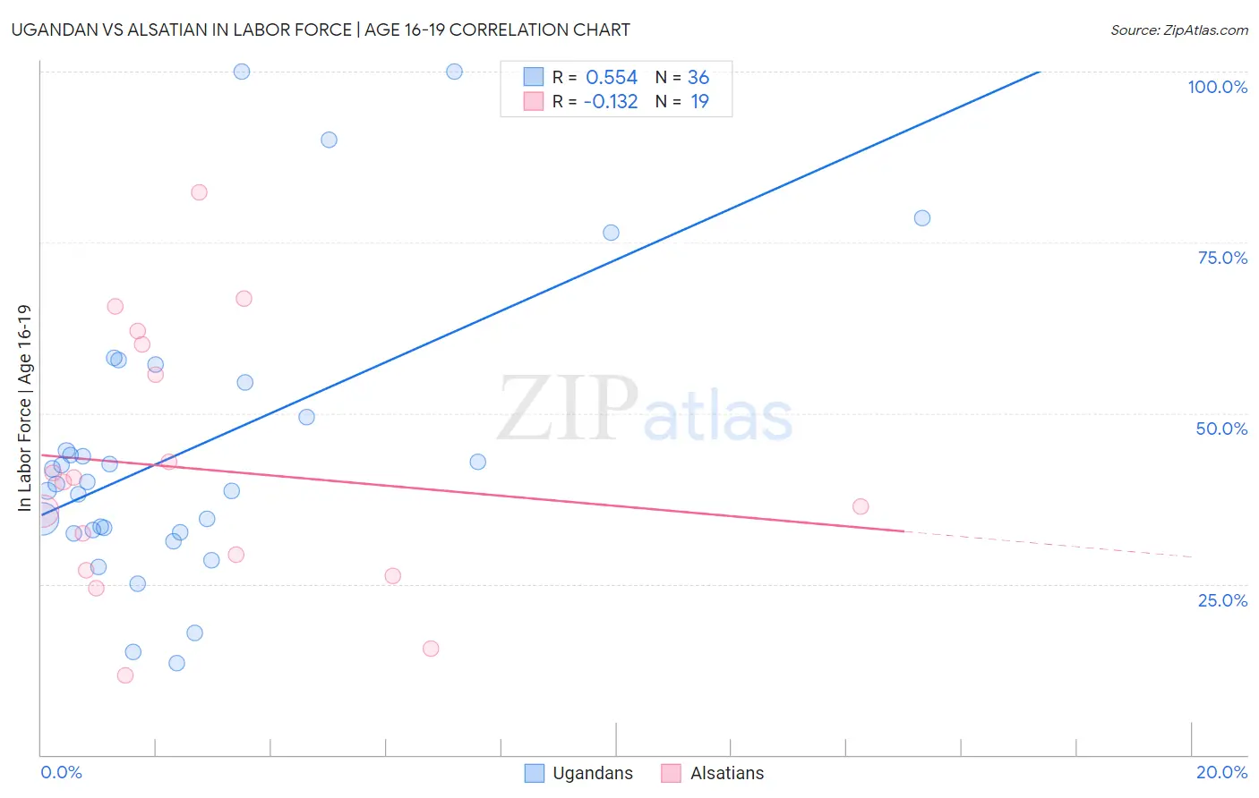 Ugandan vs Alsatian In Labor Force | Age 16-19