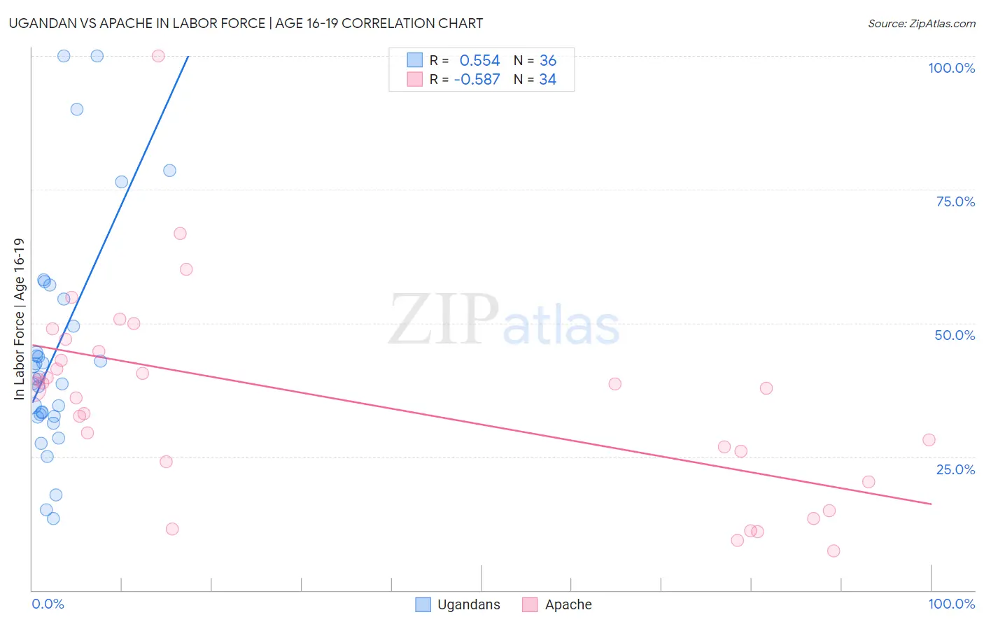 Ugandan vs Apache In Labor Force | Age 16-19