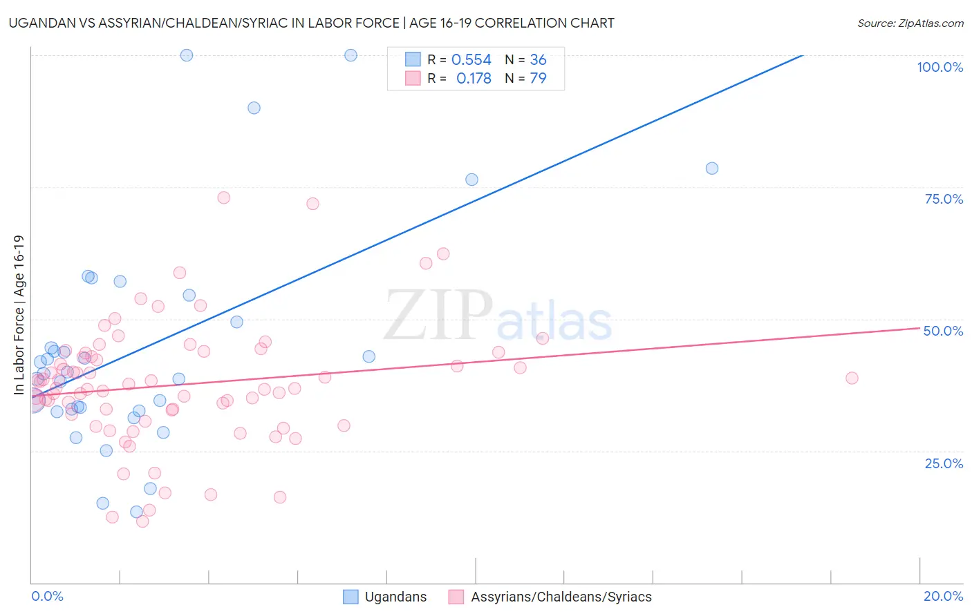 Ugandan vs Assyrian/Chaldean/Syriac In Labor Force | Age 16-19