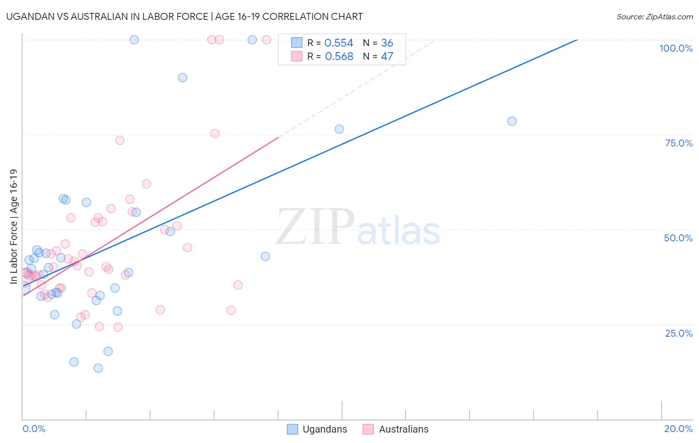 Ugandan vs Australian In Labor Force | Age 16-19