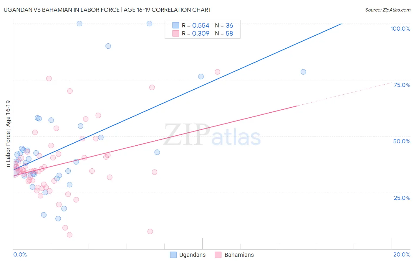 Ugandan vs Bahamian In Labor Force | Age 16-19
