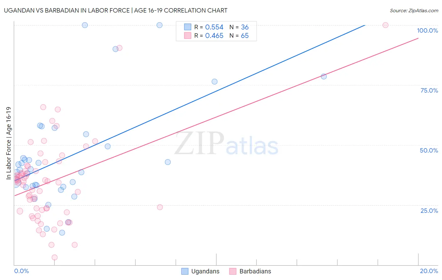 Ugandan vs Barbadian In Labor Force | Age 16-19