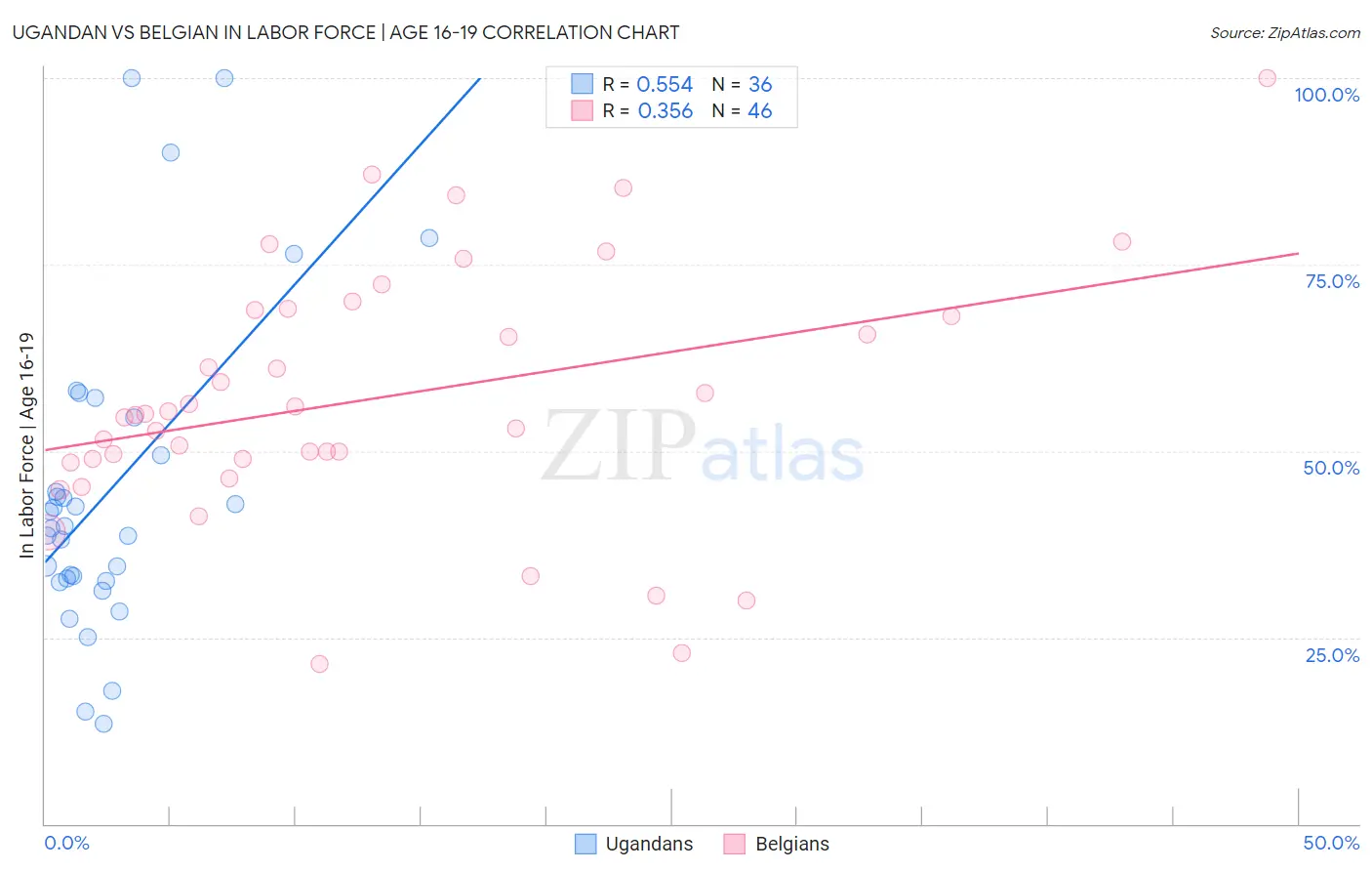 Ugandan vs Belgian In Labor Force | Age 16-19