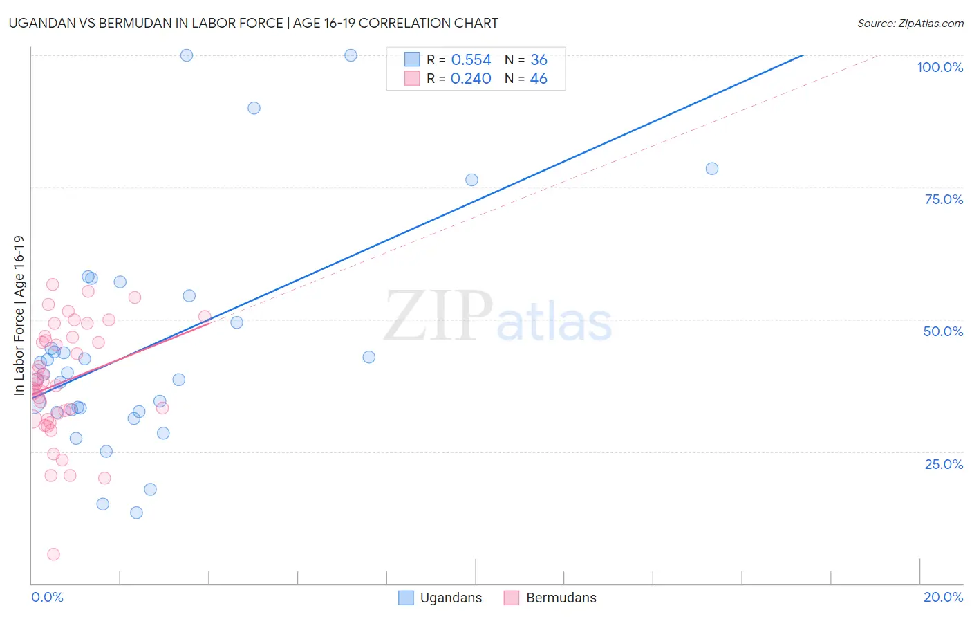 Ugandan vs Bermudan In Labor Force | Age 16-19