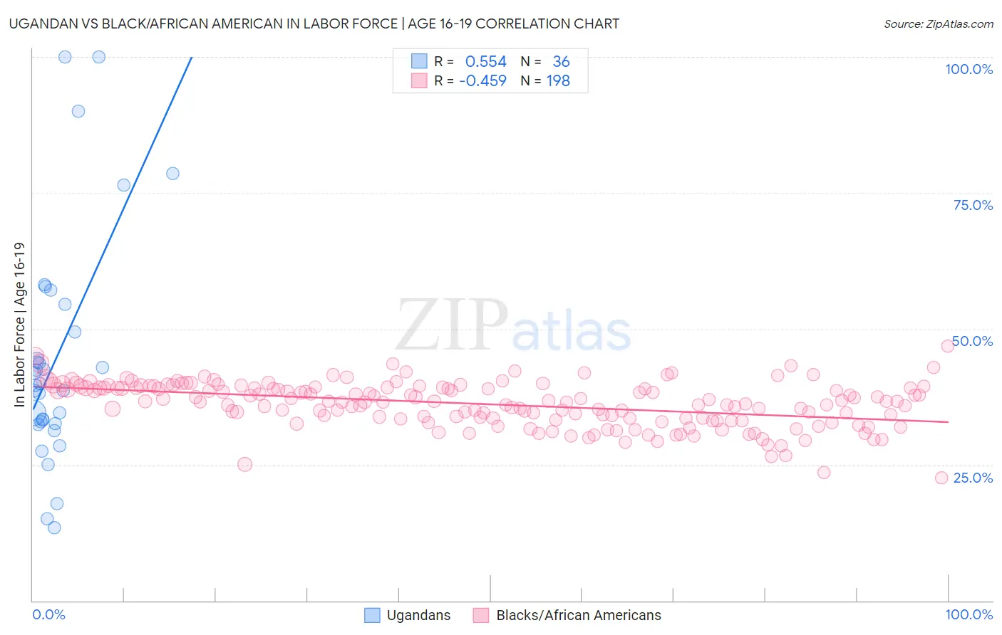 Ugandan vs Black/African American In Labor Force | Age 16-19