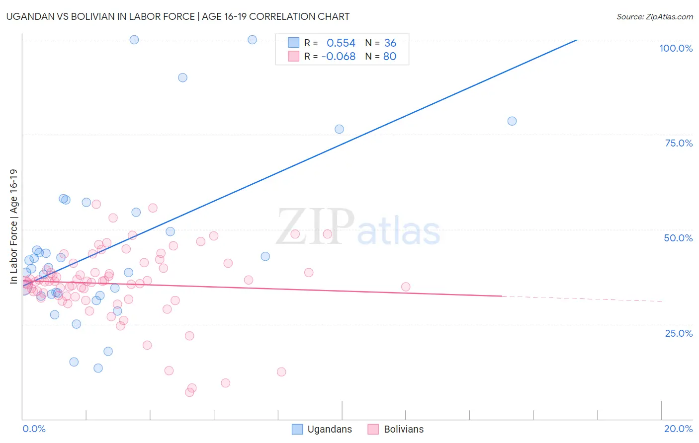 Ugandan vs Bolivian In Labor Force | Age 16-19