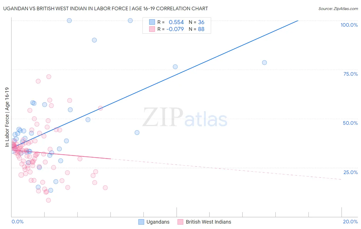 Ugandan vs British West Indian In Labor Force | Age 16-19