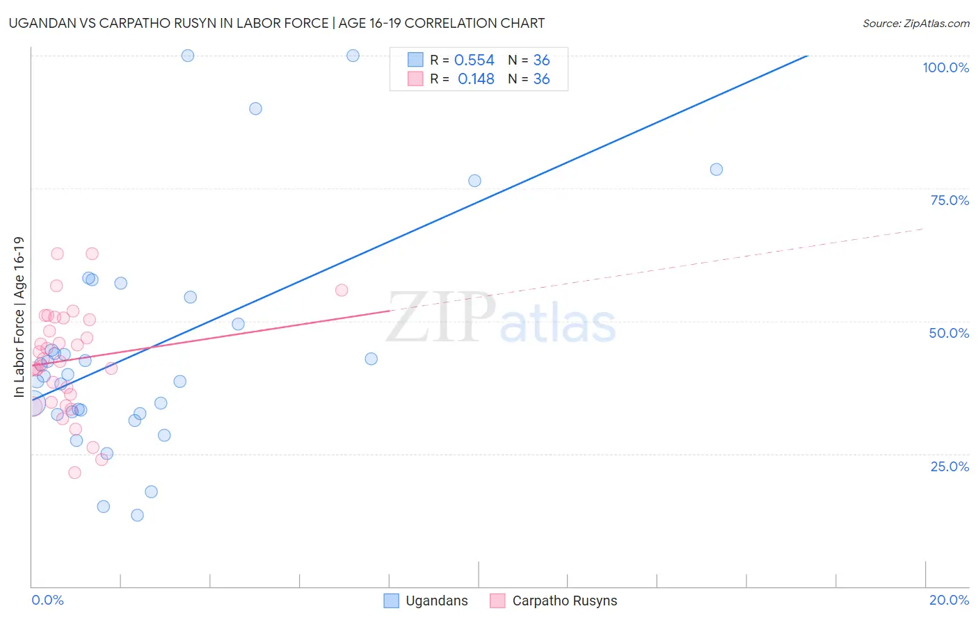 Ugandan vs Carpatho Rusyn In Labor Force | Age 16-19