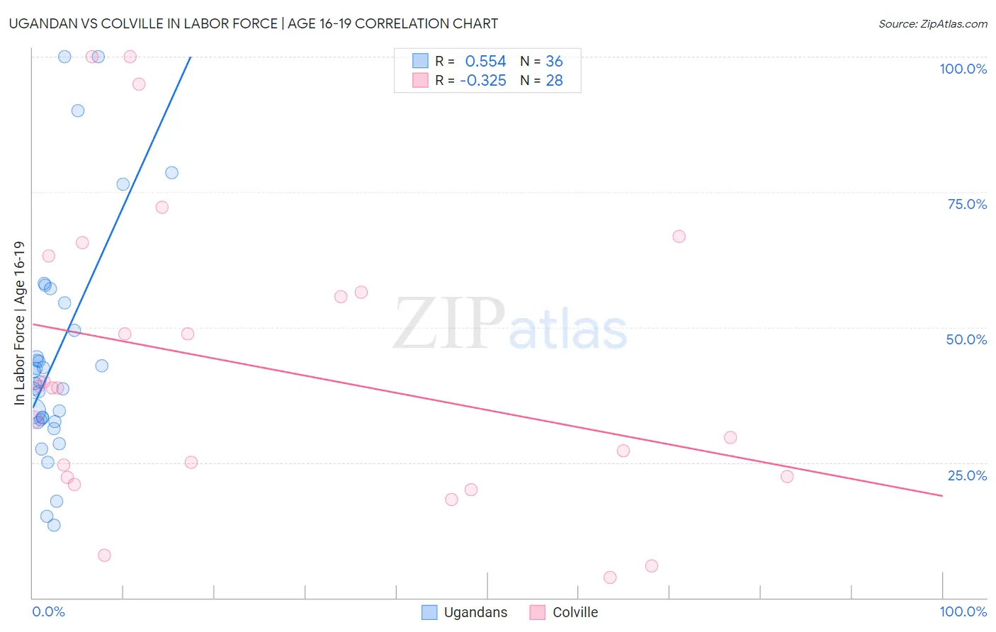 Ugandan vs Colville In Labor Force | Age 16-19