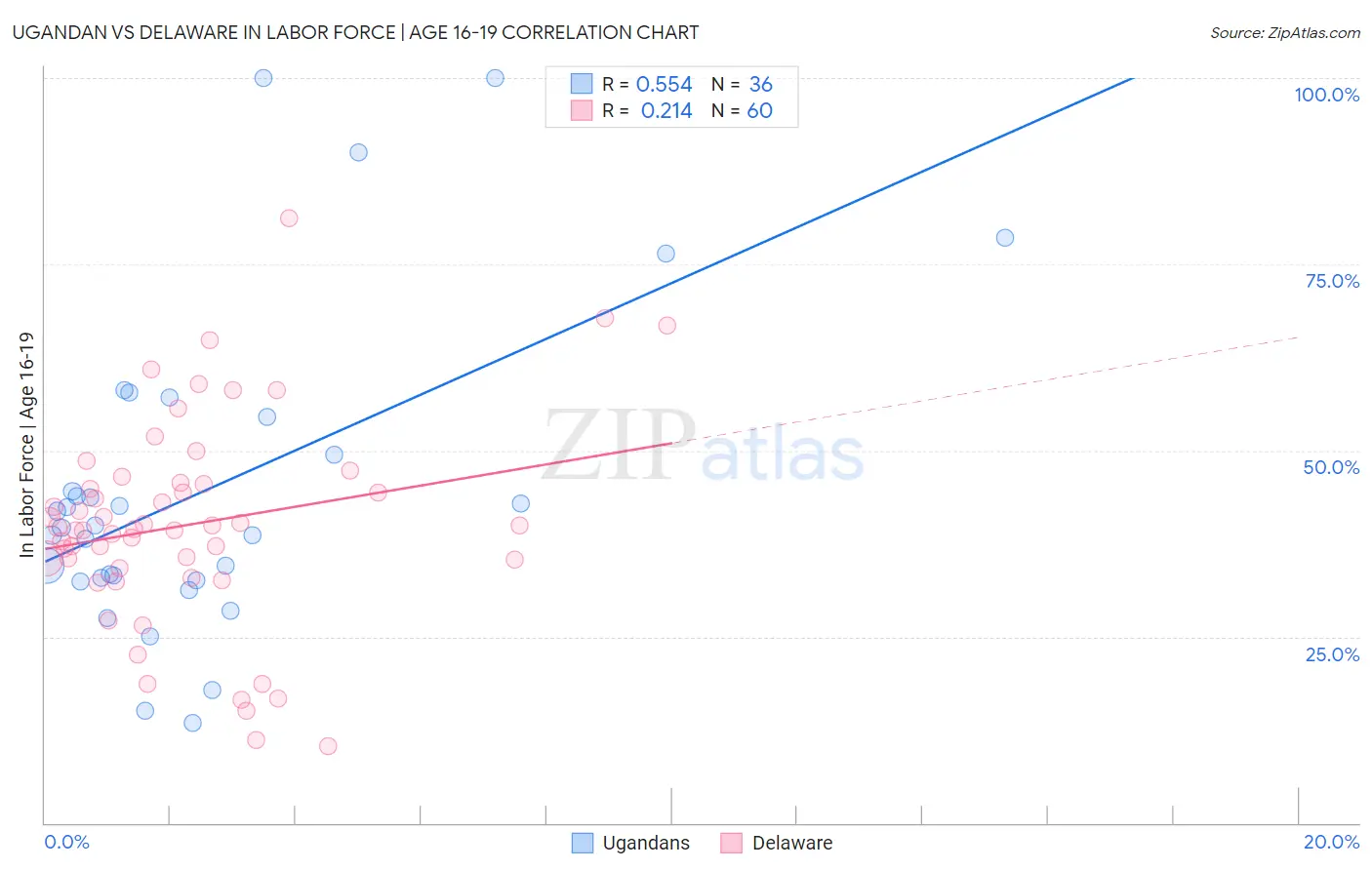 Ugandan vs Delaware In Labor Force | Age 16-19