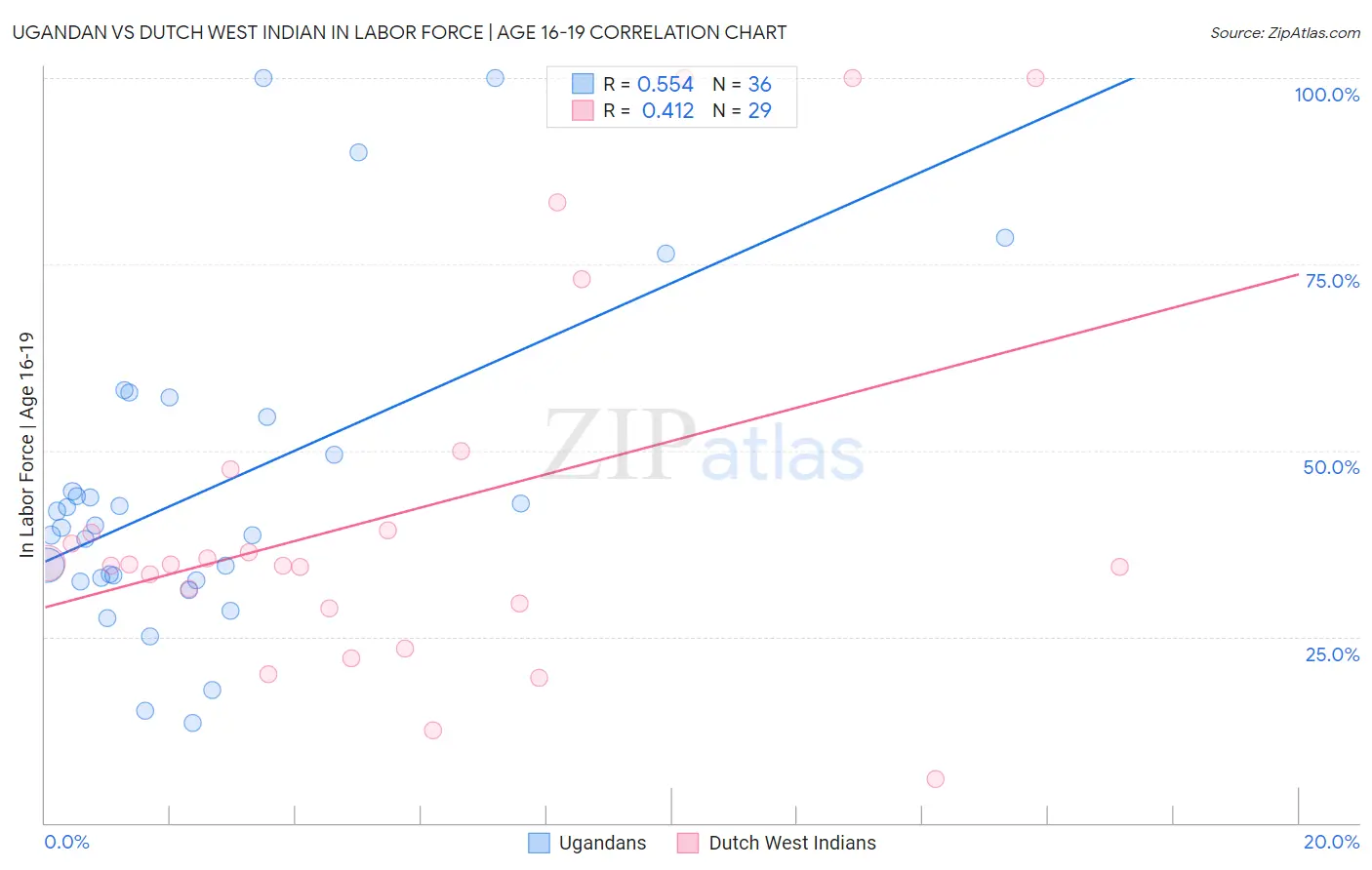 Ugandan vs Dutch West Indian In Labor Force | Age 16-19